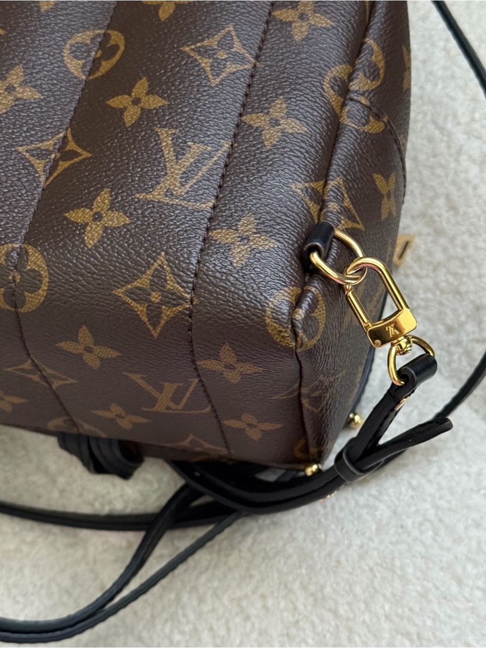 Louis Vuitton Palm Springs Mini Monogram Backpack - Picture 5 of 12